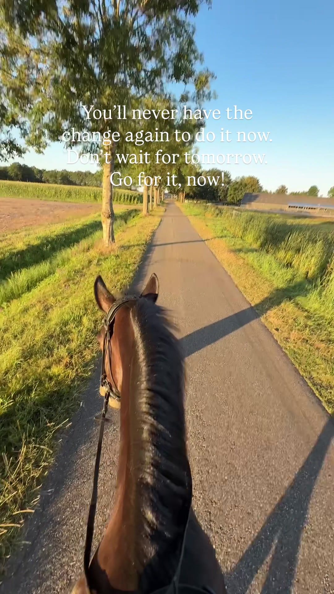 @gerjanne.mentalcoach