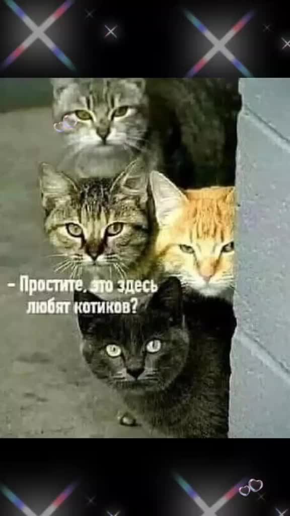 @Елена