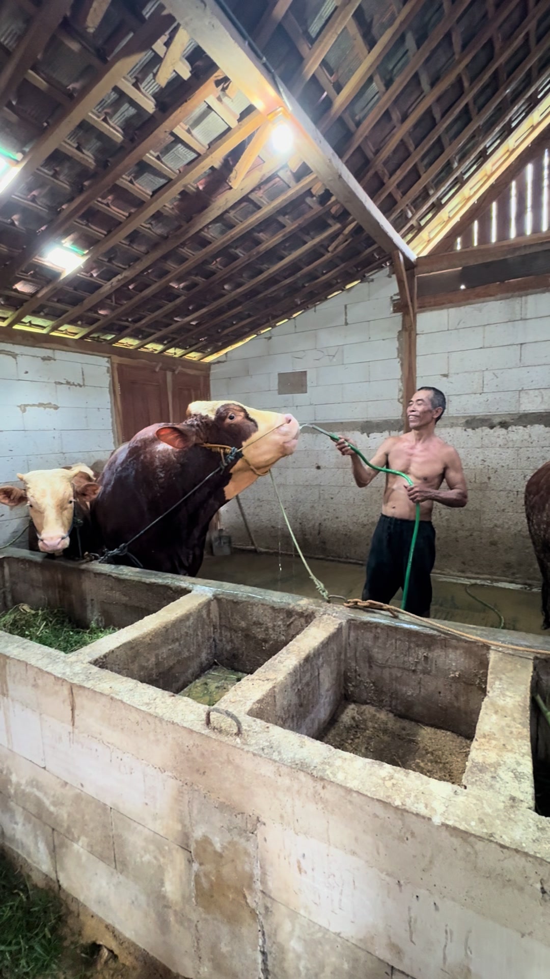 @zero farm