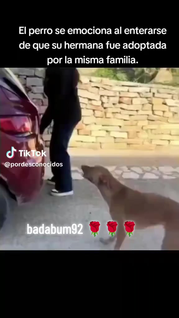 @🥀🥀🌹⚡ badabum92🇲🇽🧿🔮🎖️🏆