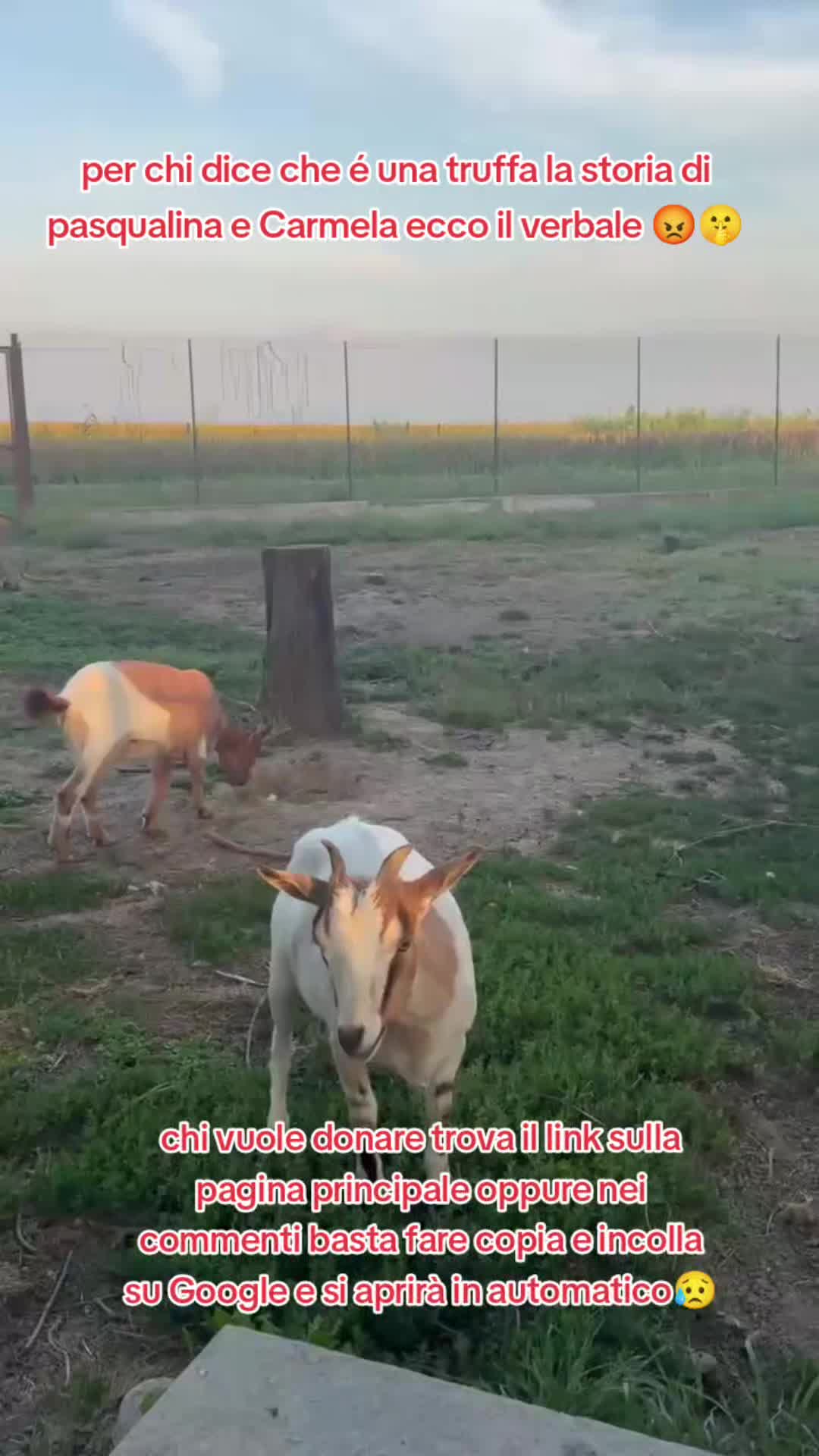 @KIRA❤️LEYLA💙
