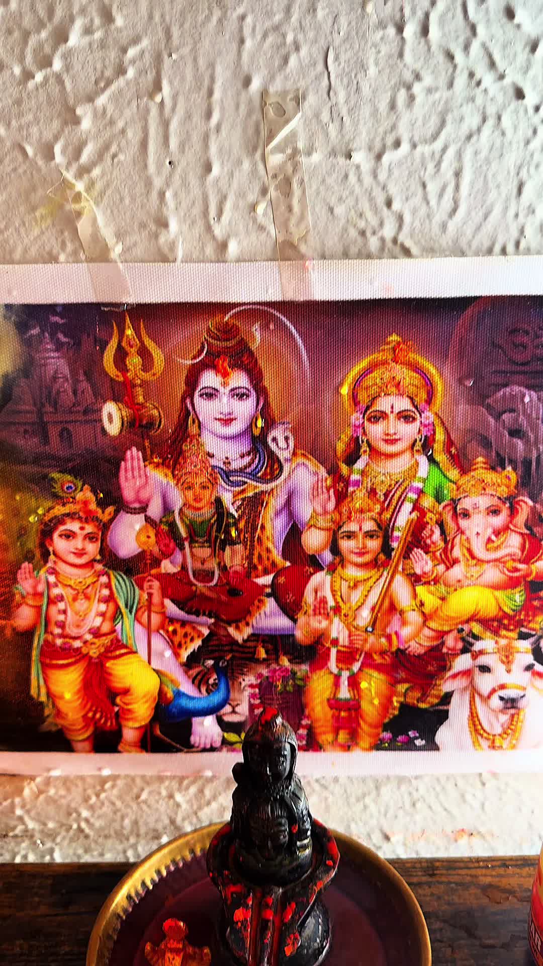 @Sangita Yadav USA🇺🇸 S❤️S