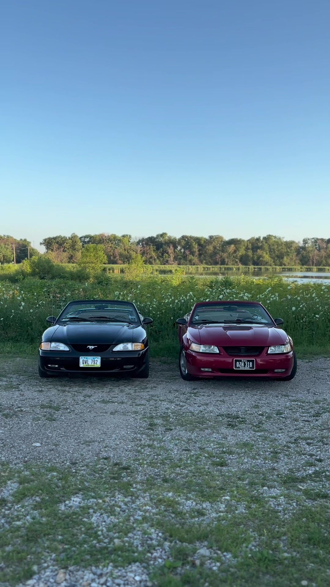 @TorqueHub🚘