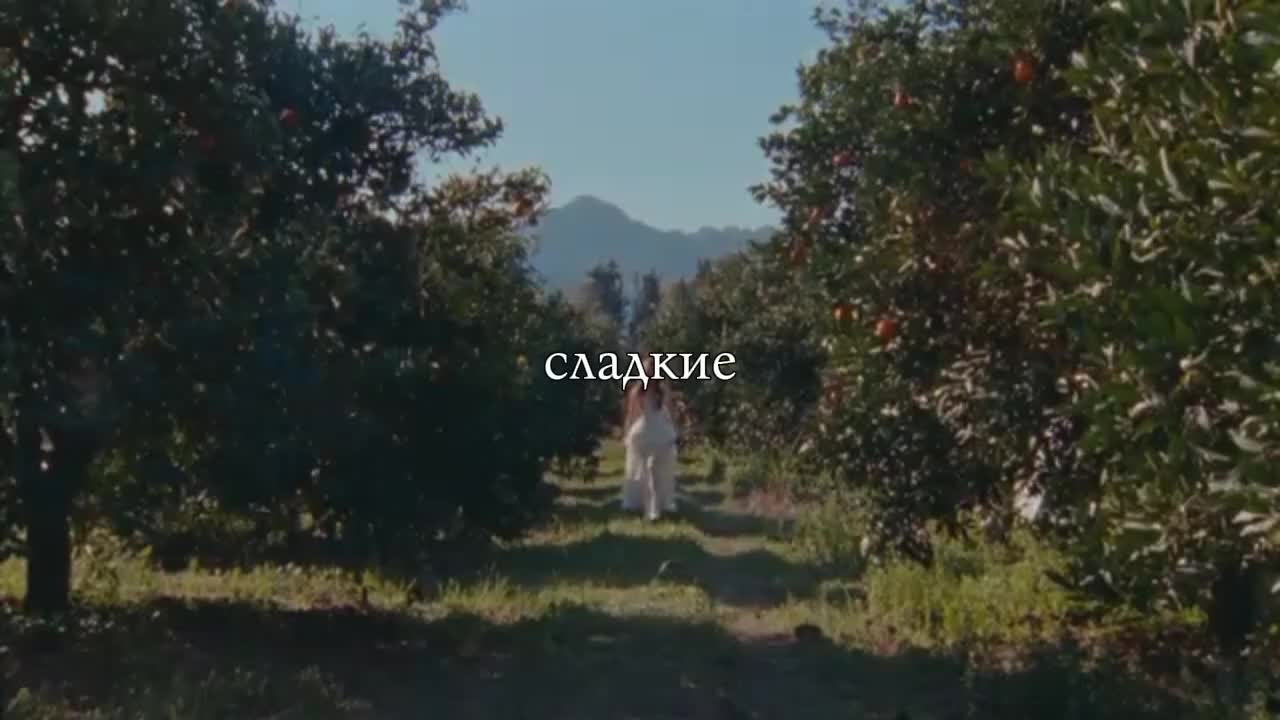 @Dmitrienushka