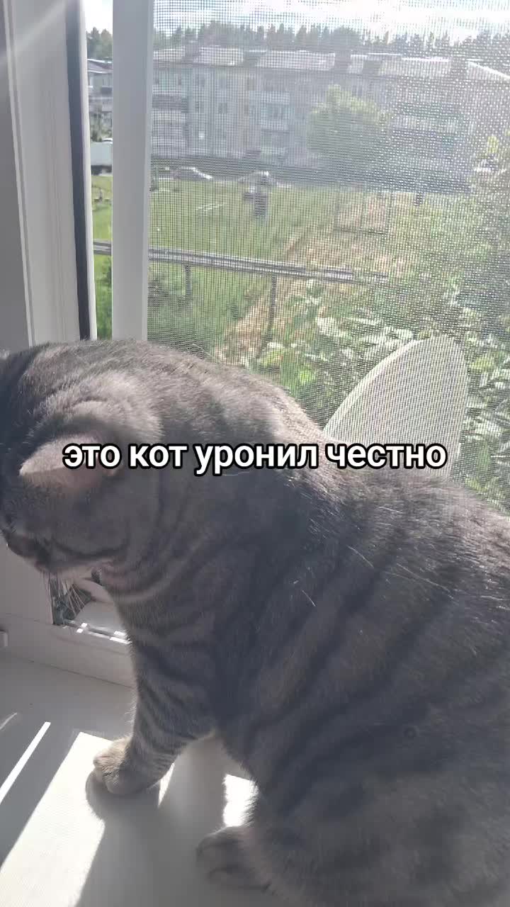 @kenvyx.💜