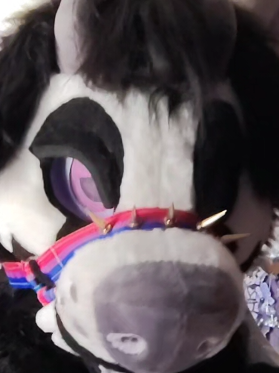 @🎃💜TOONEY THE HELLHOUND💜🎃