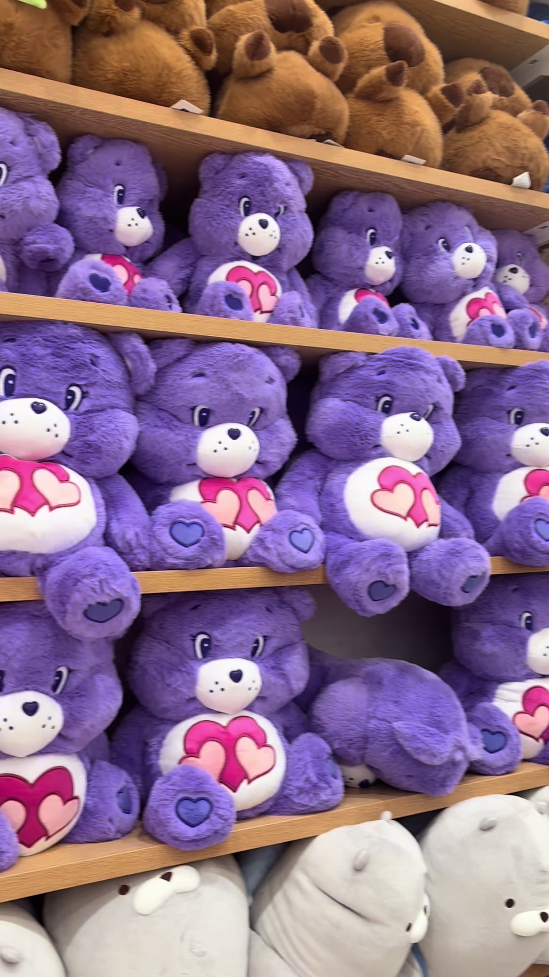 @Wish Bear ★