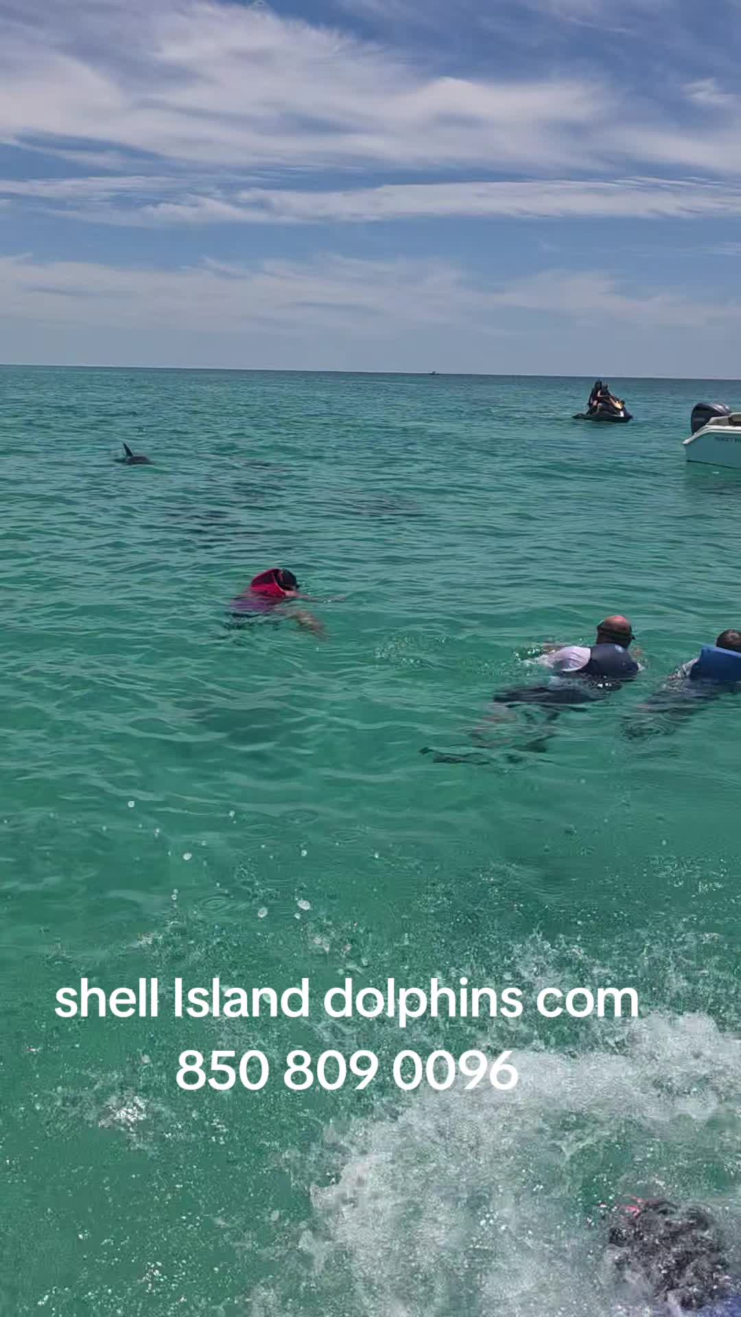 @Shell Island Dolphin Tours 🐬