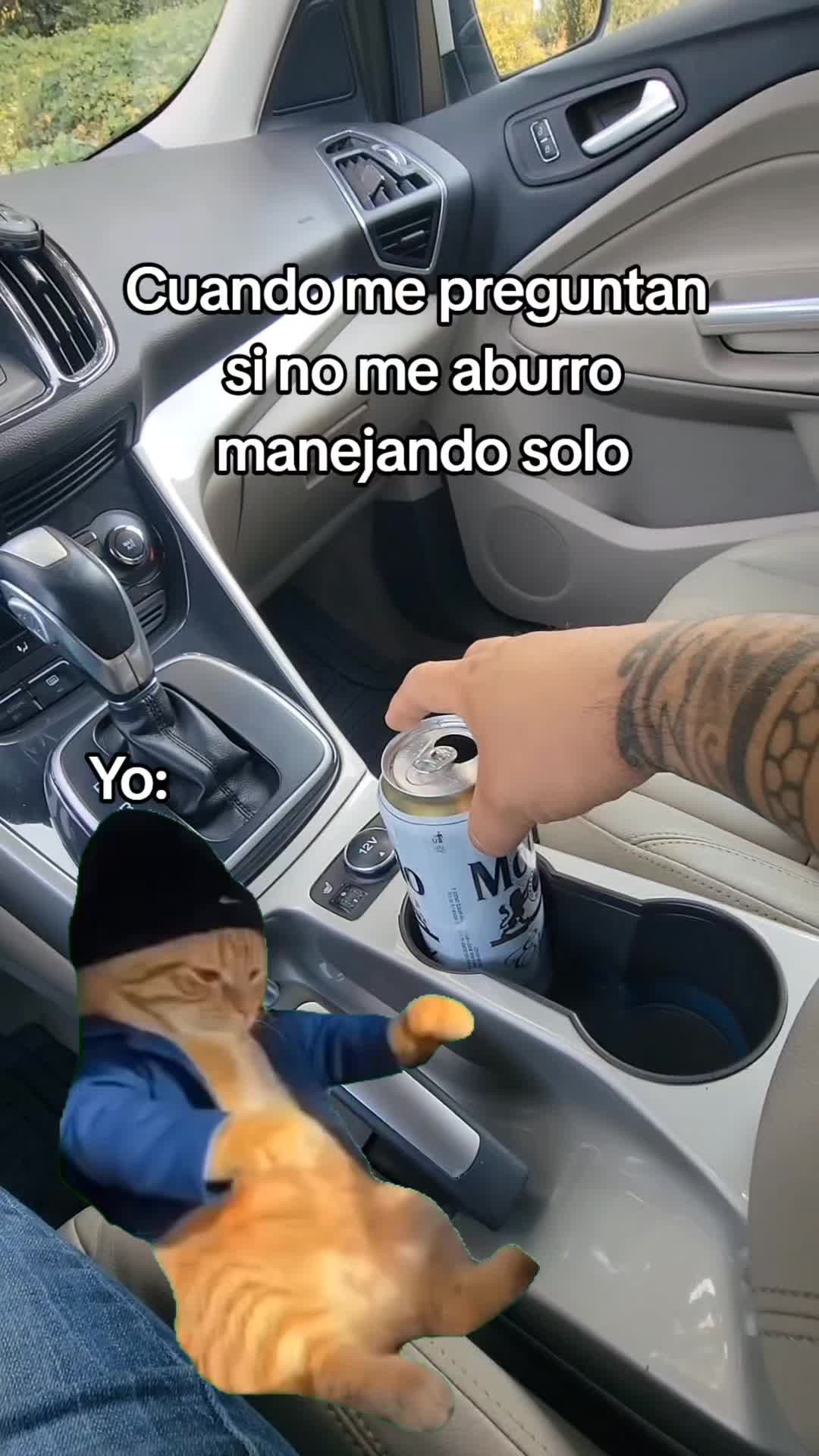 @Mario Pikazo