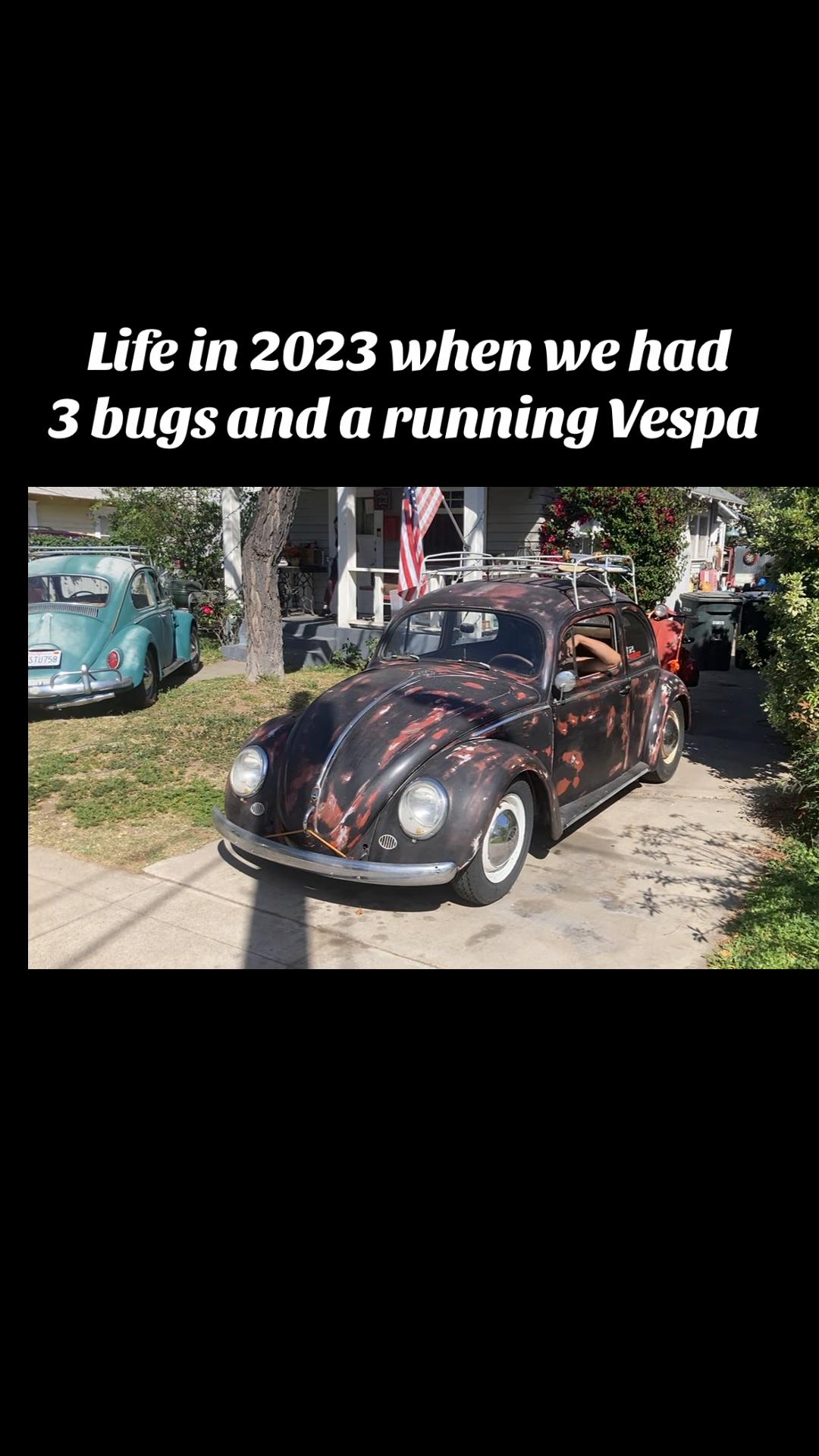 @Volkstag Revenge