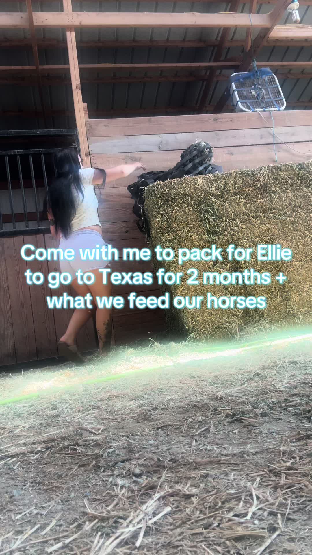 @Living Lucky Quarter Horses