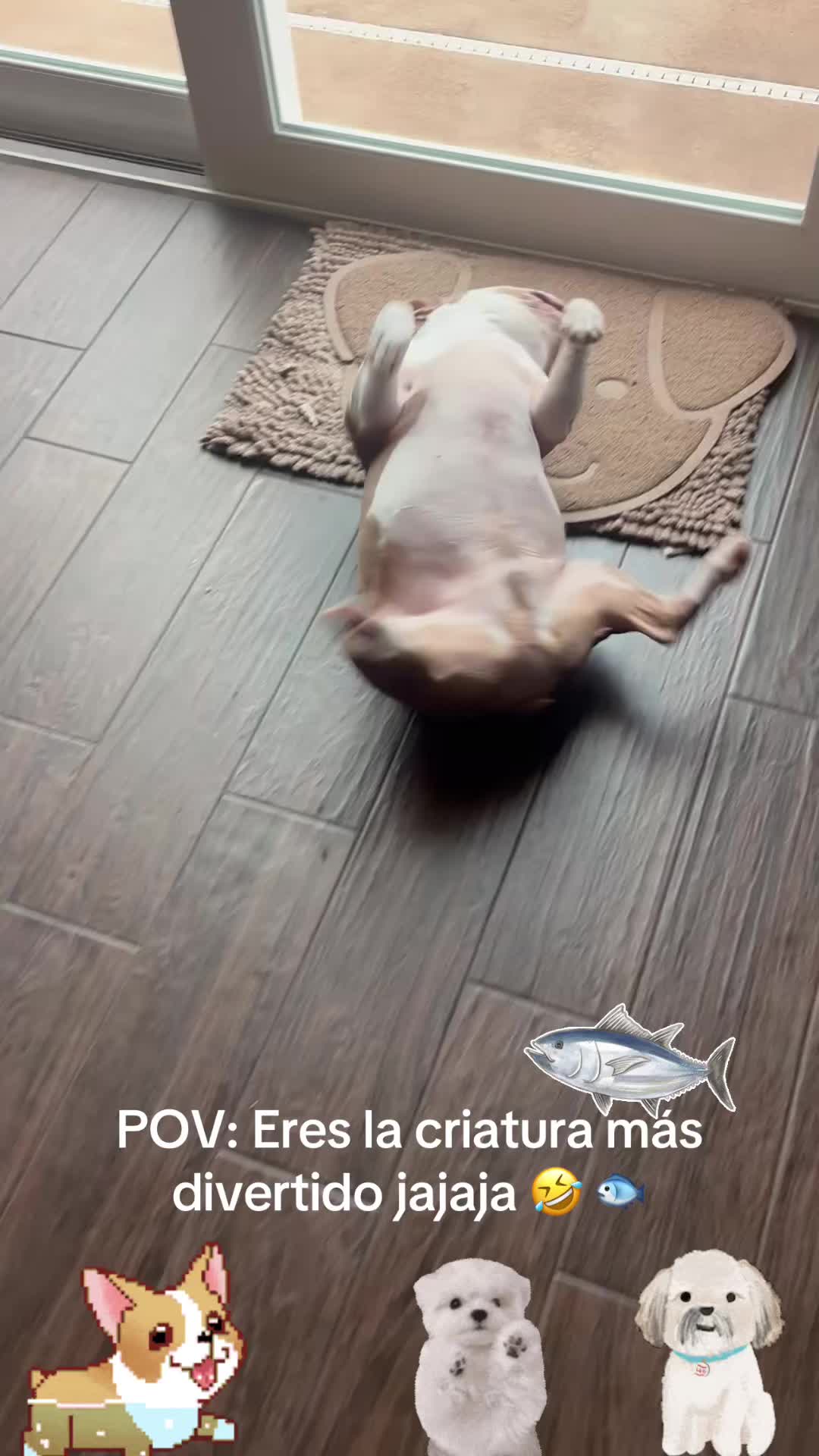 @los3huevertos
