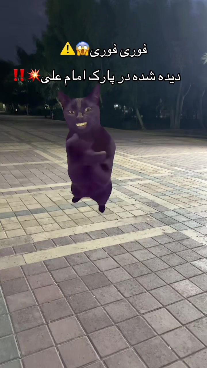 @Ruki🧃