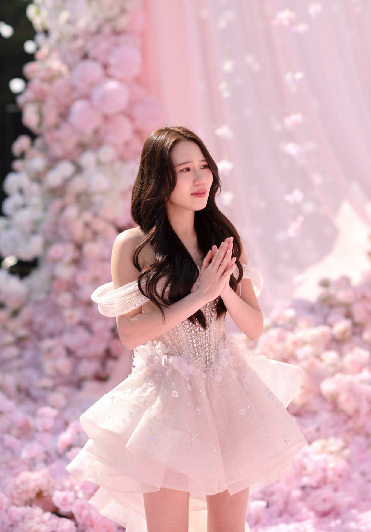 @jjiayii