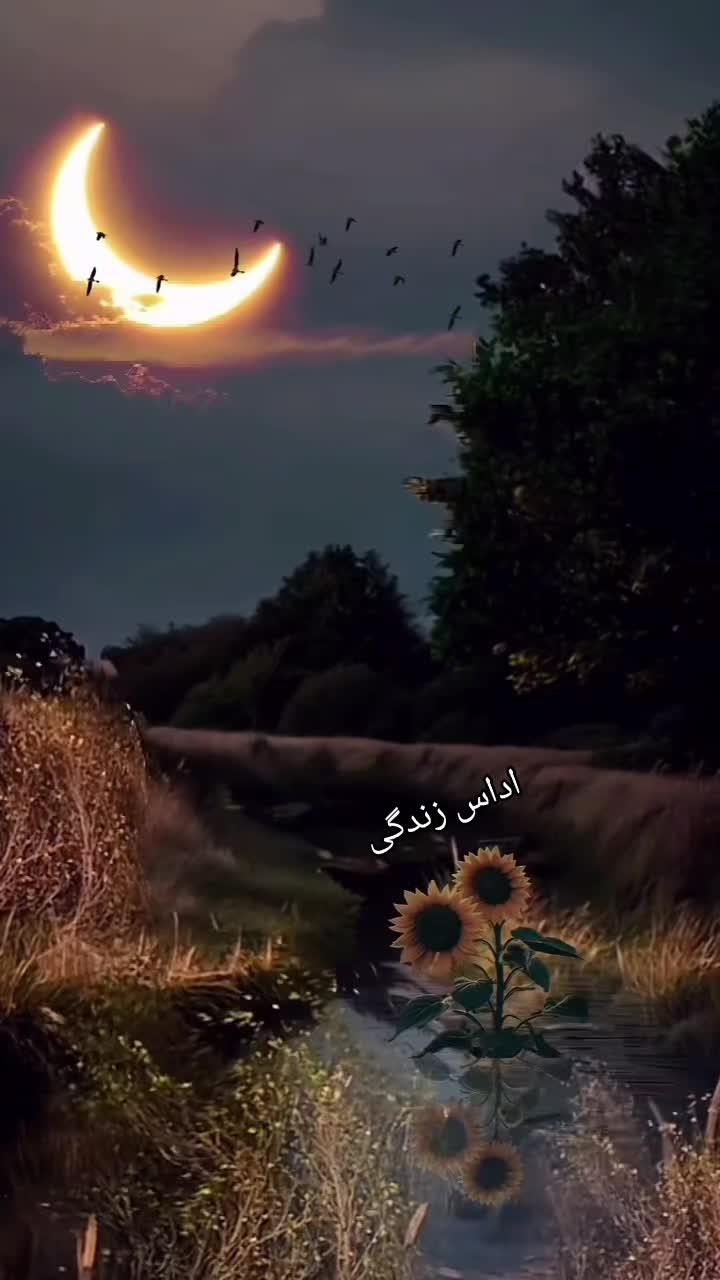 @nadan 778855