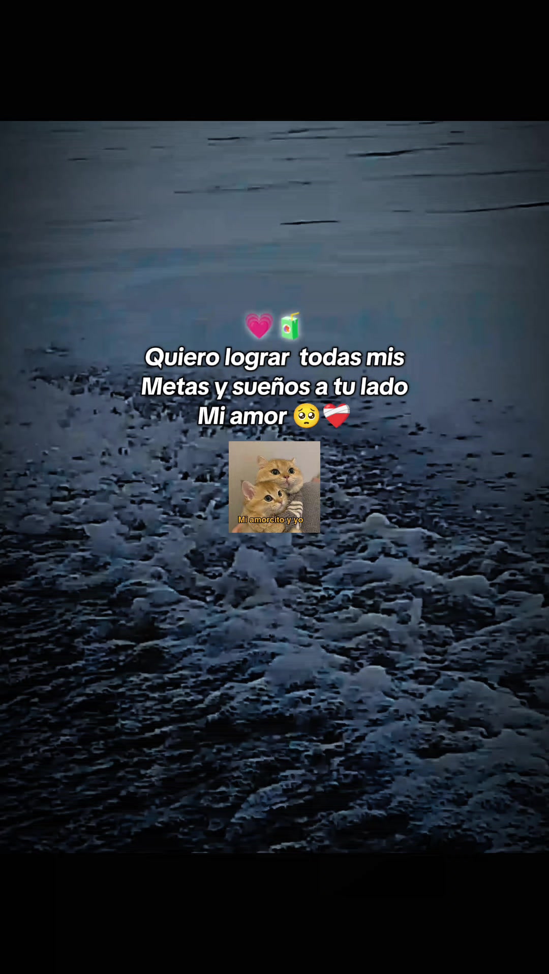 @Yordaly ๐Y/L๐