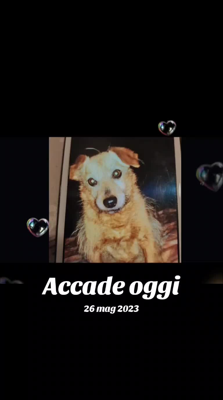 @@antonellagasparini25