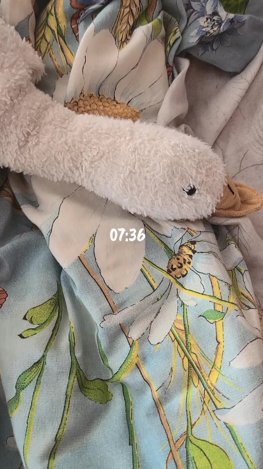 @𝚀𝚞𝚛𝚘𝚗