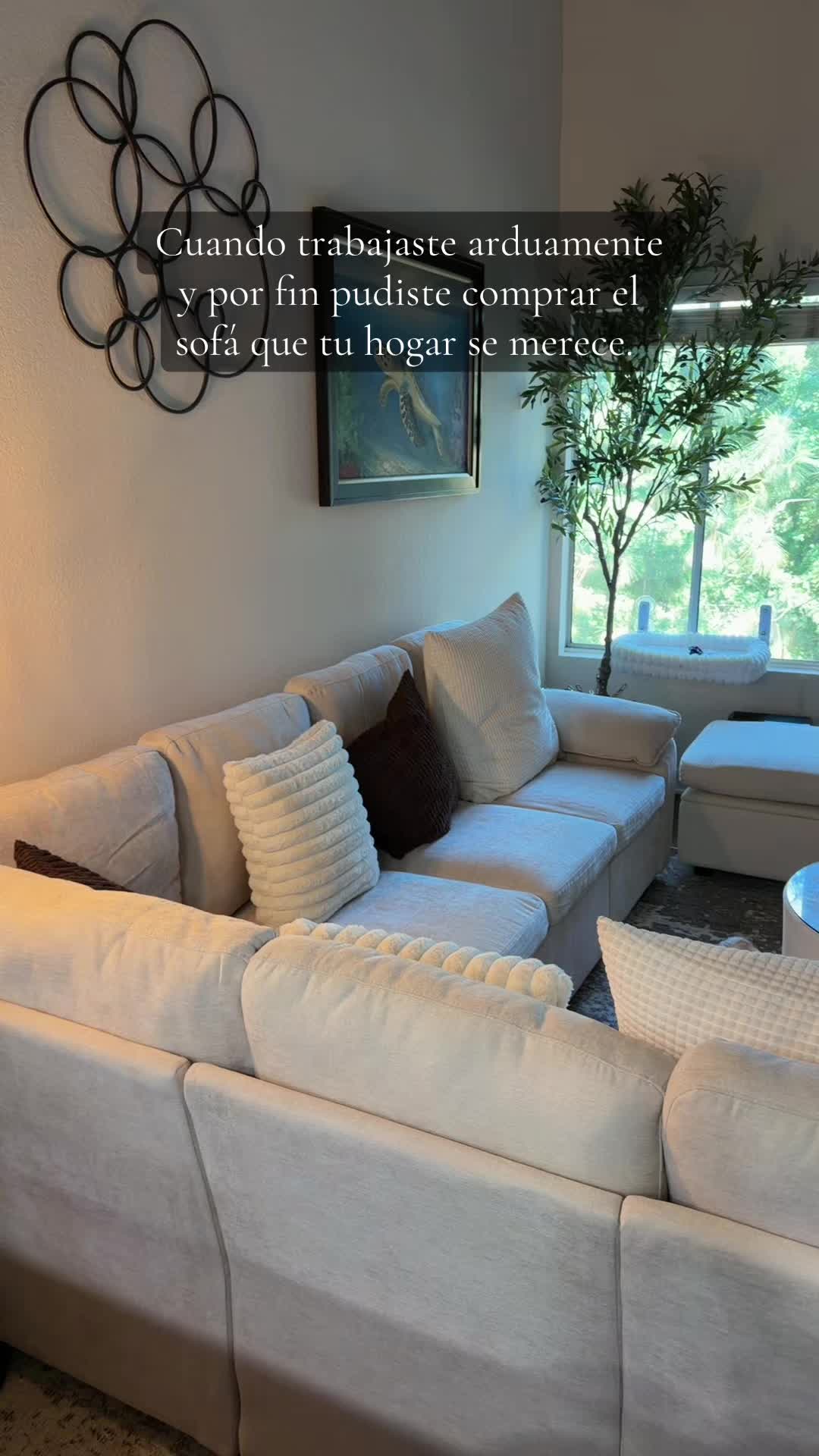 @edvivesshop