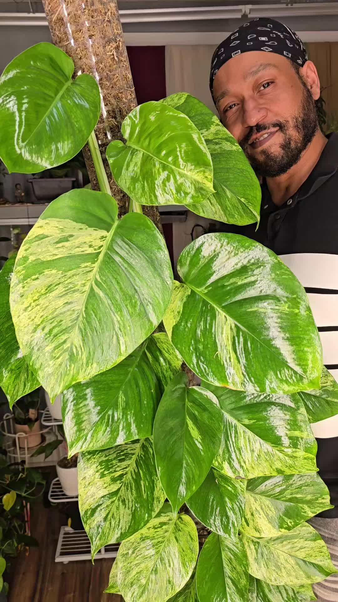 @JT - BigEGOPlants
