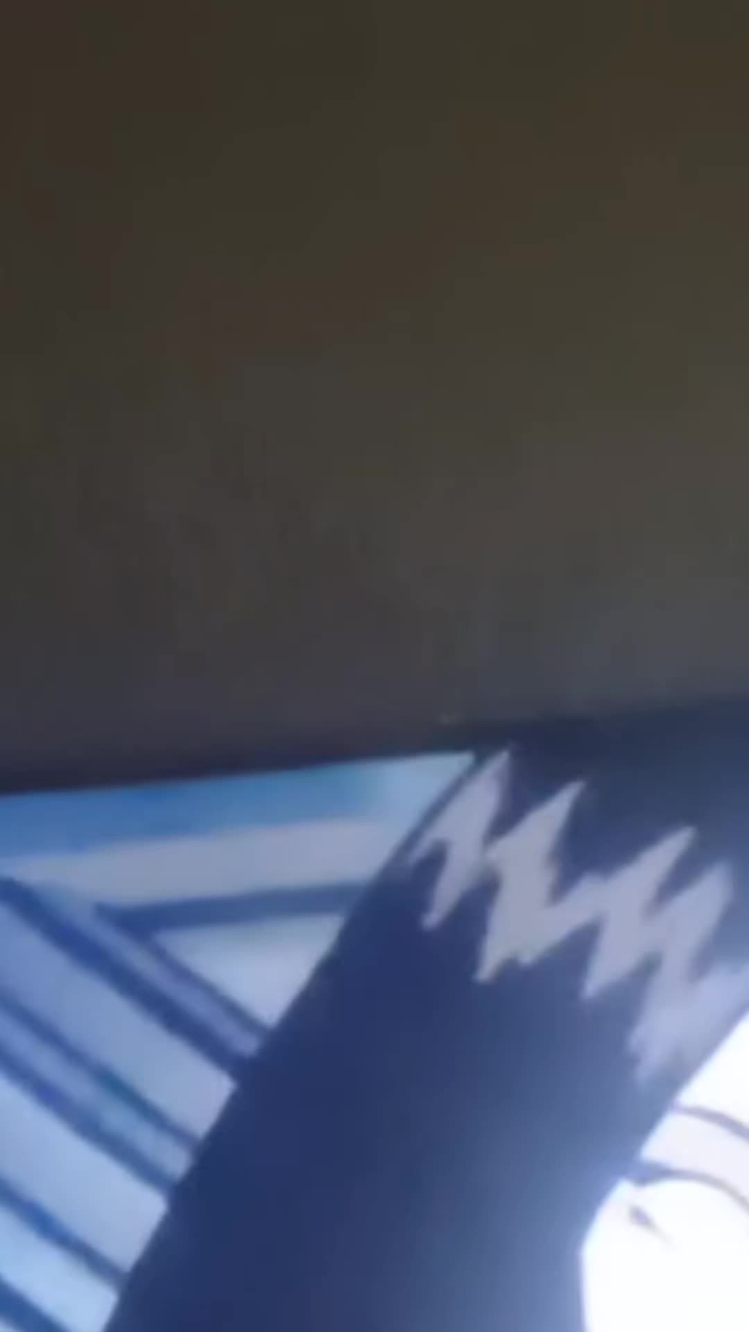 @sirdavidthekillerbee
