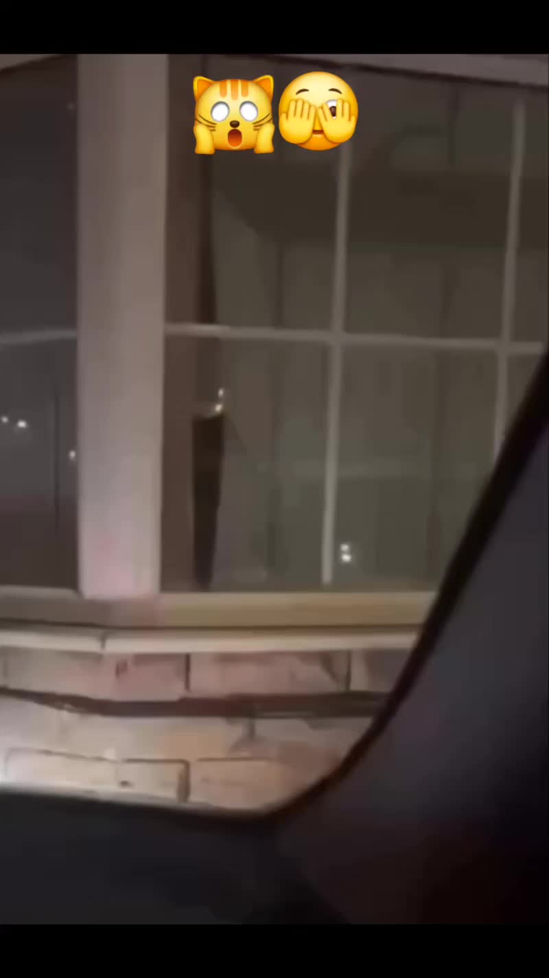 @🤣Vidéos Drôles.Zzz
