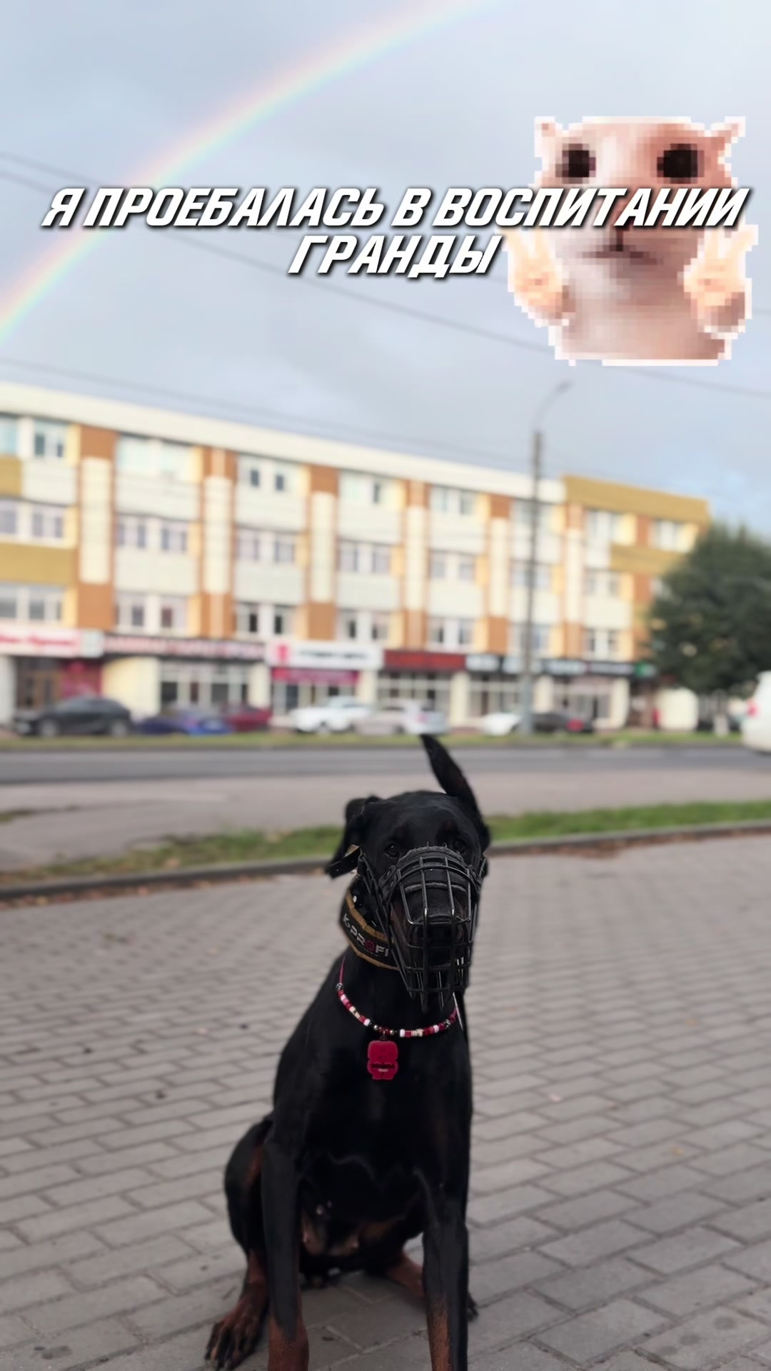 @‼️тг: grandorf‼️