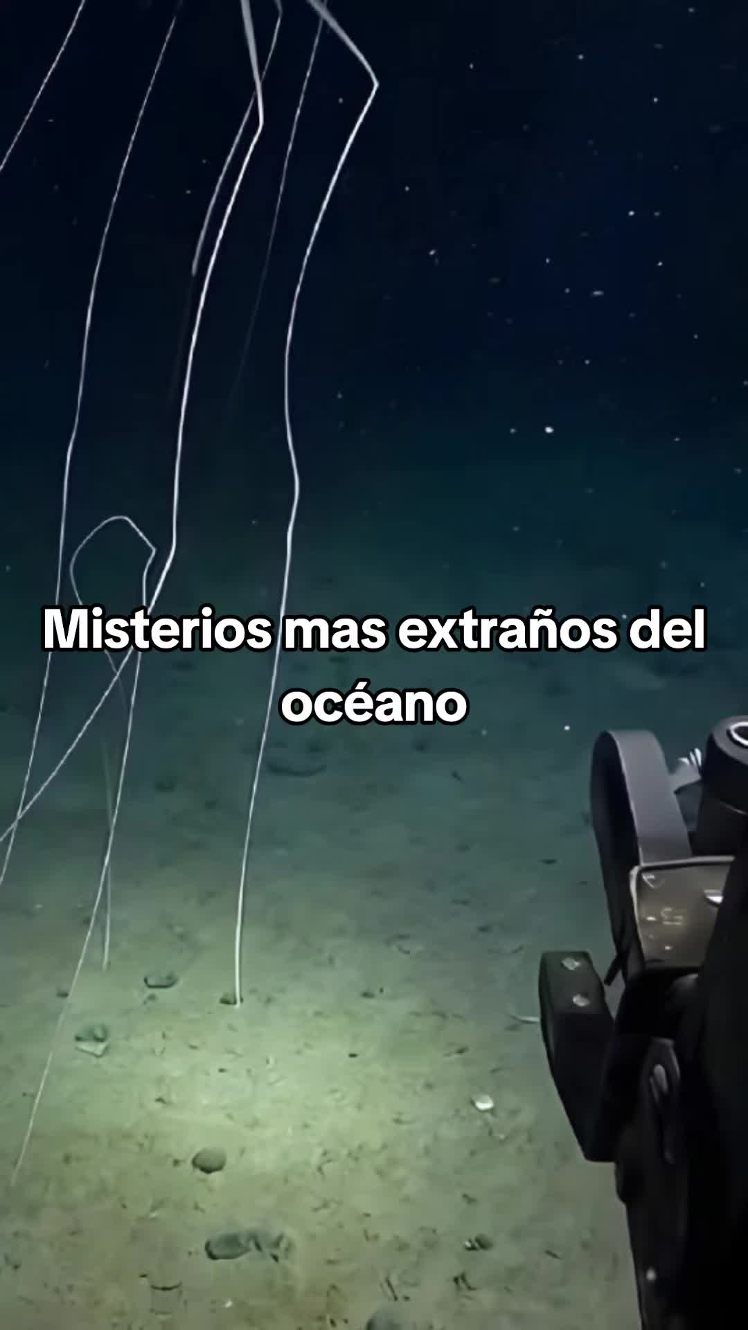 @Viva Historia