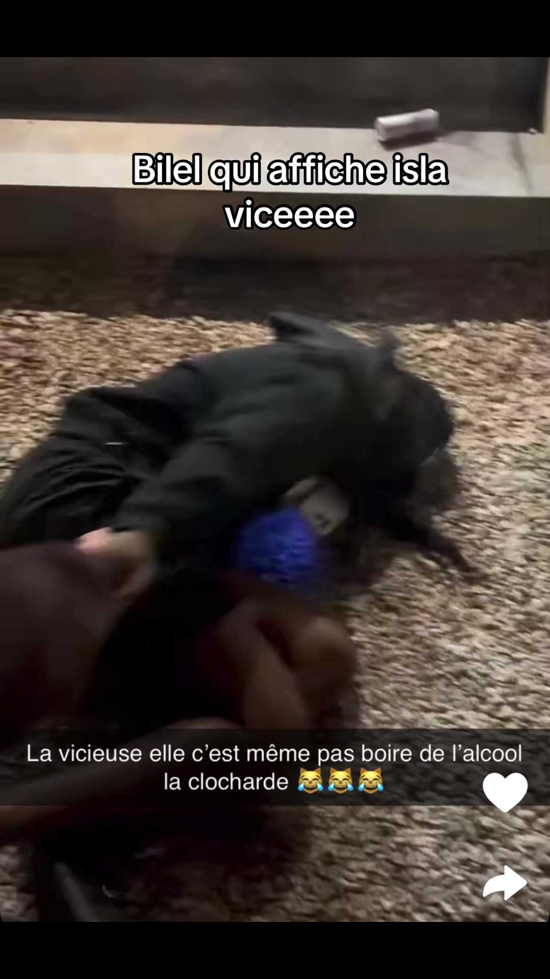 @Le divertissement