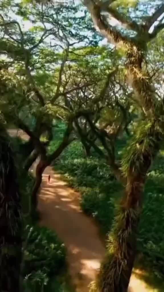 @Restu