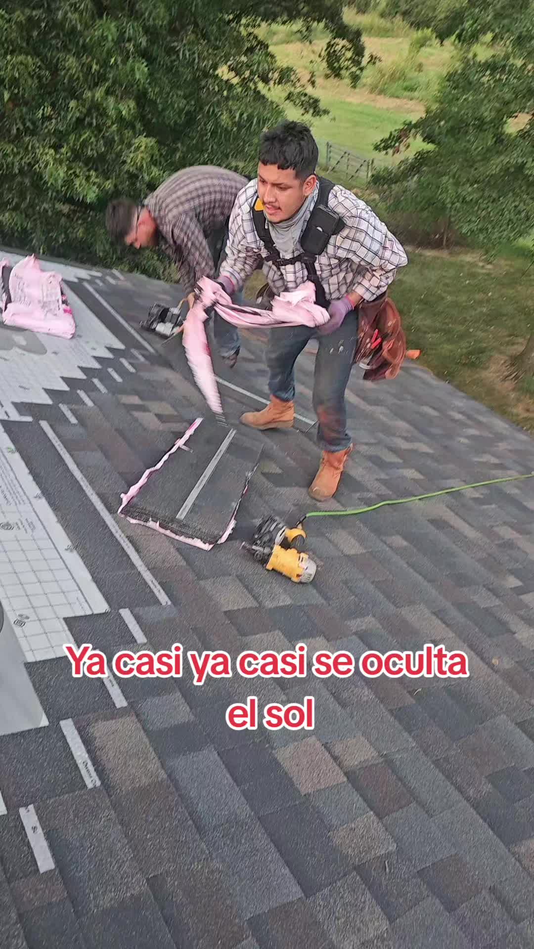 @ElpapideLospollitos