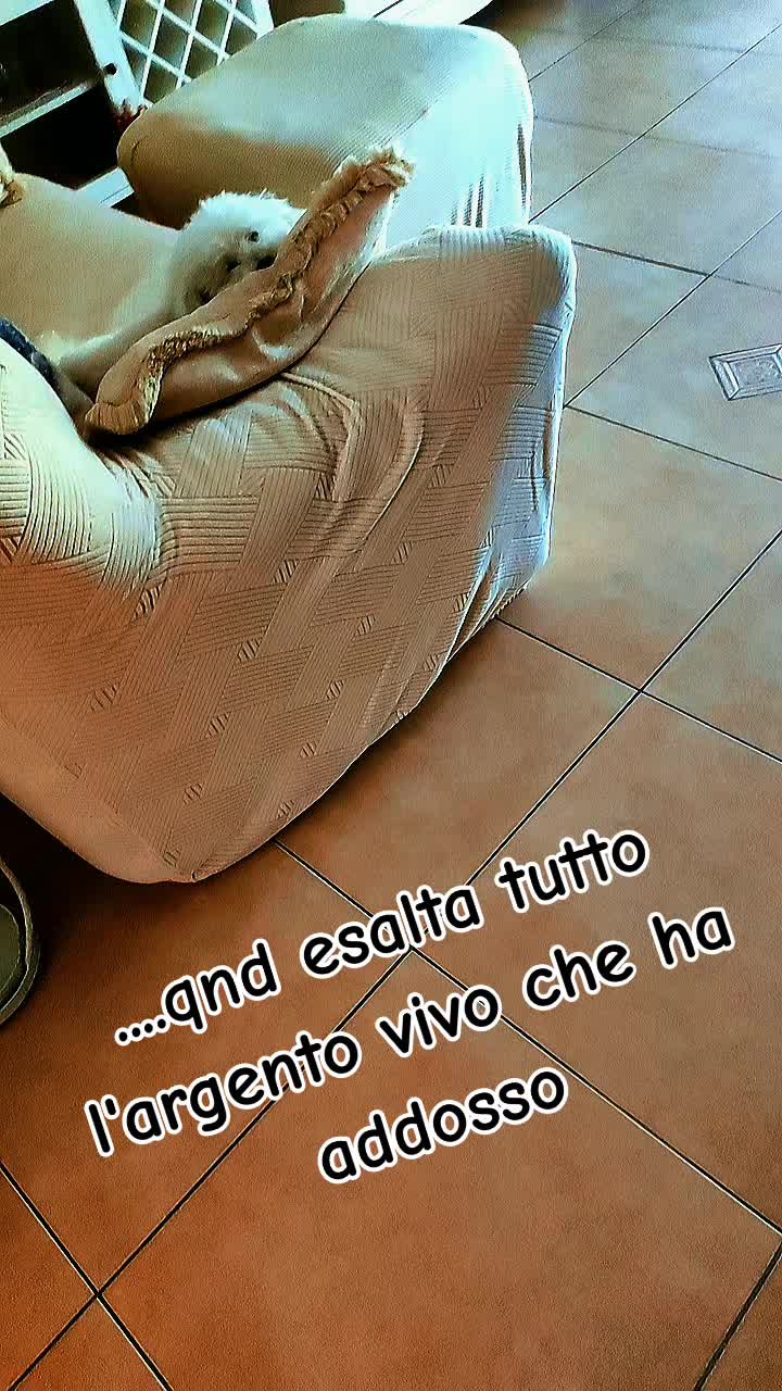 @Aldo Angel 😇🔄😈