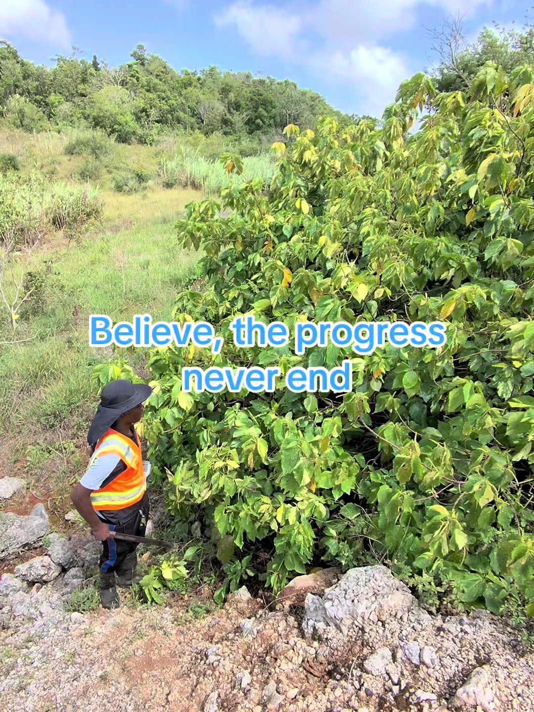 @jamaicasurveyors