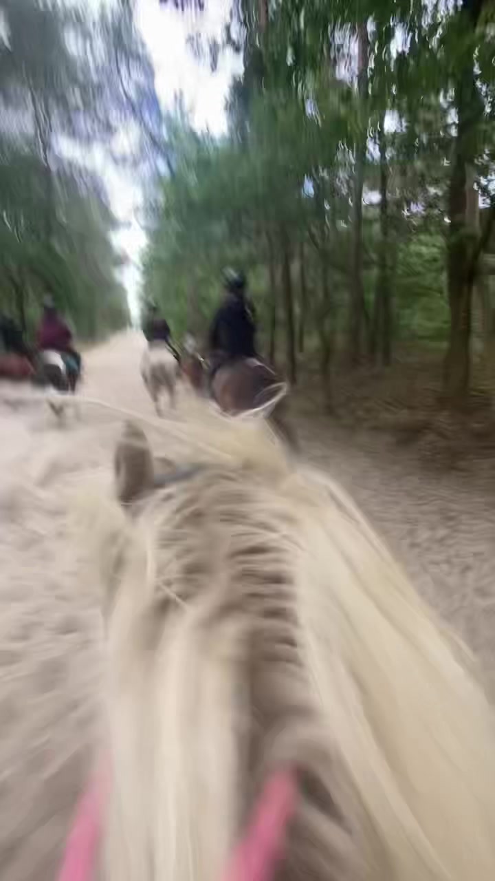 @Amy 🫶🏻🐴