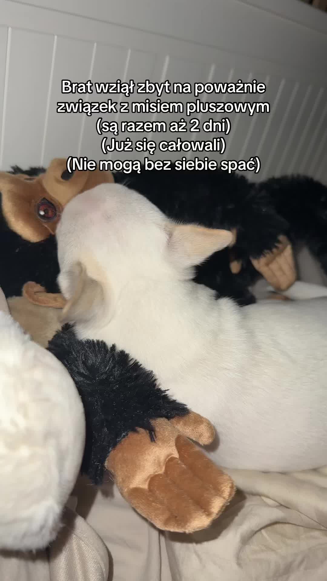 @Aga