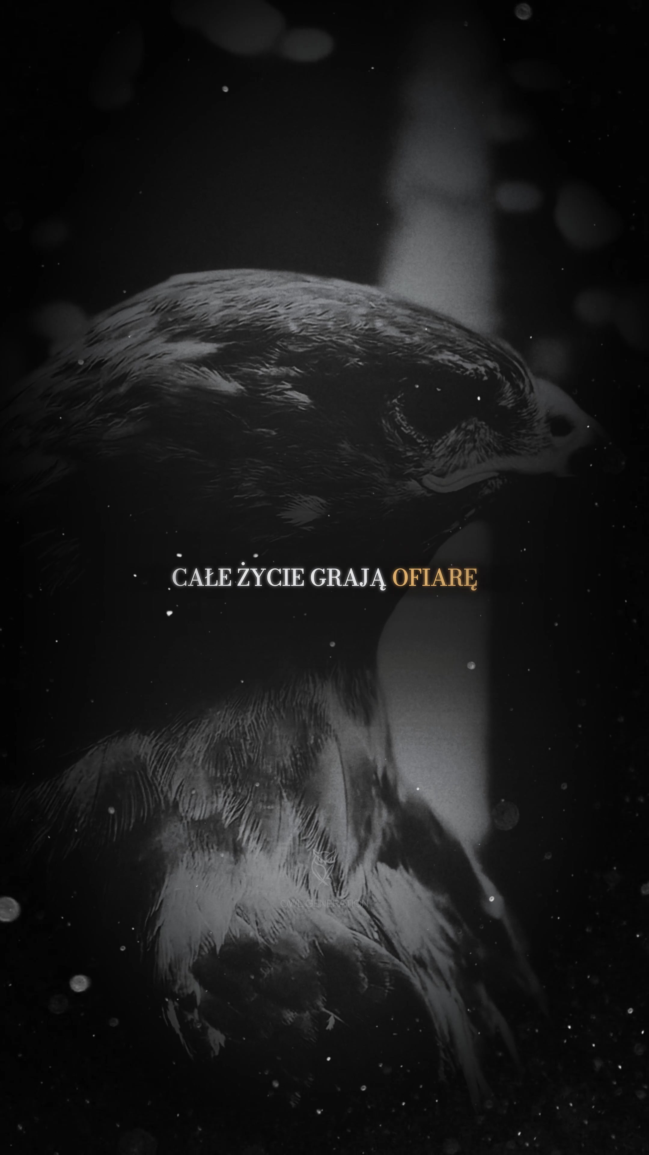 @OwlGeneration🦉🌙