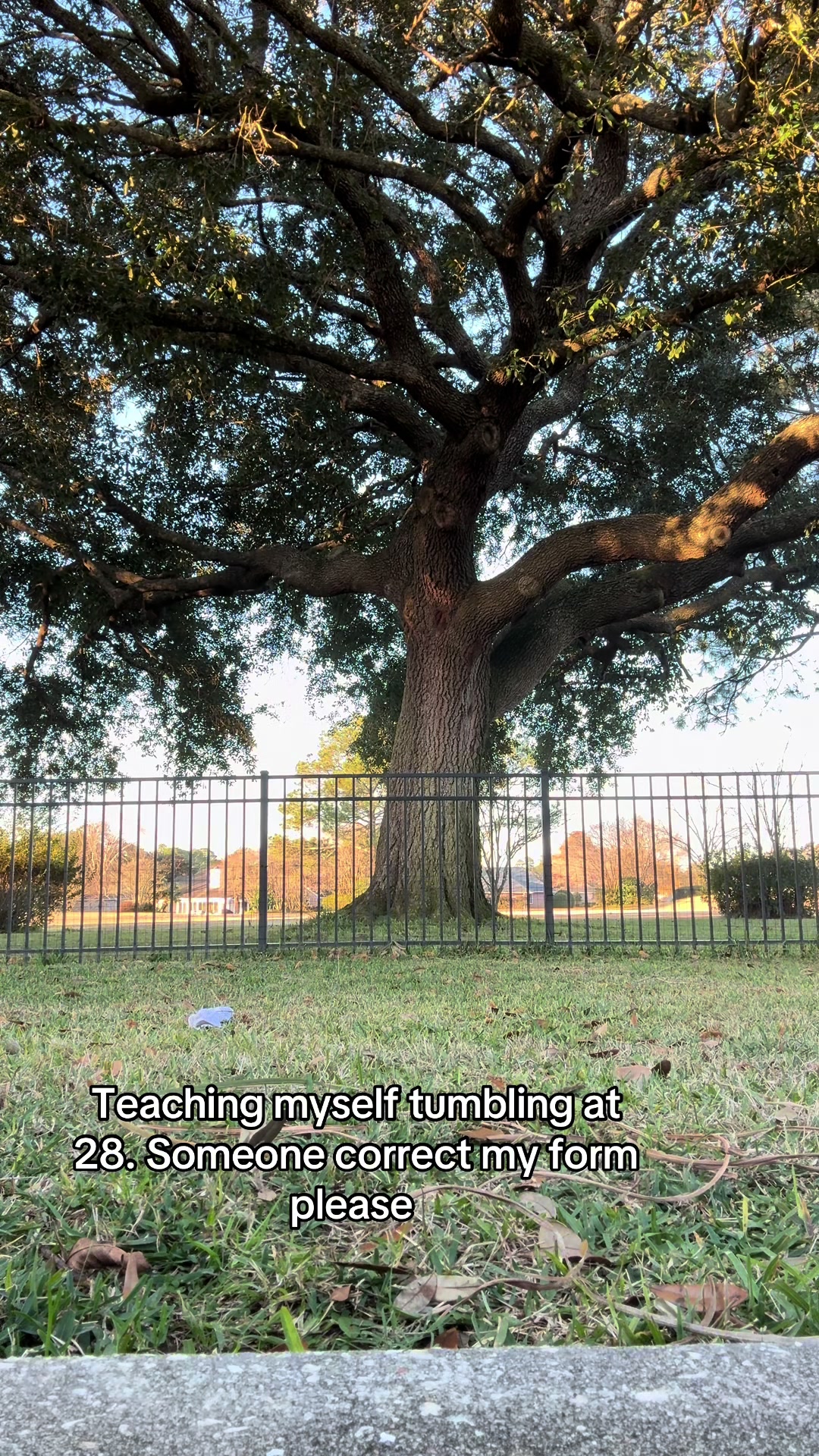 @shrek