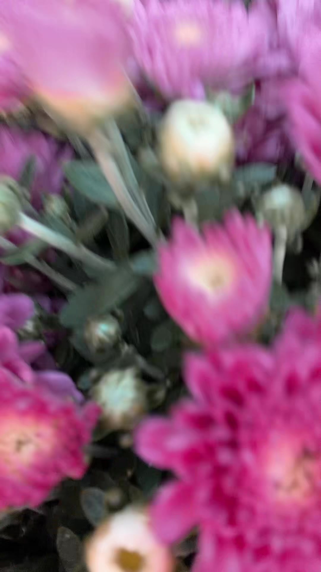 @bebe77777b