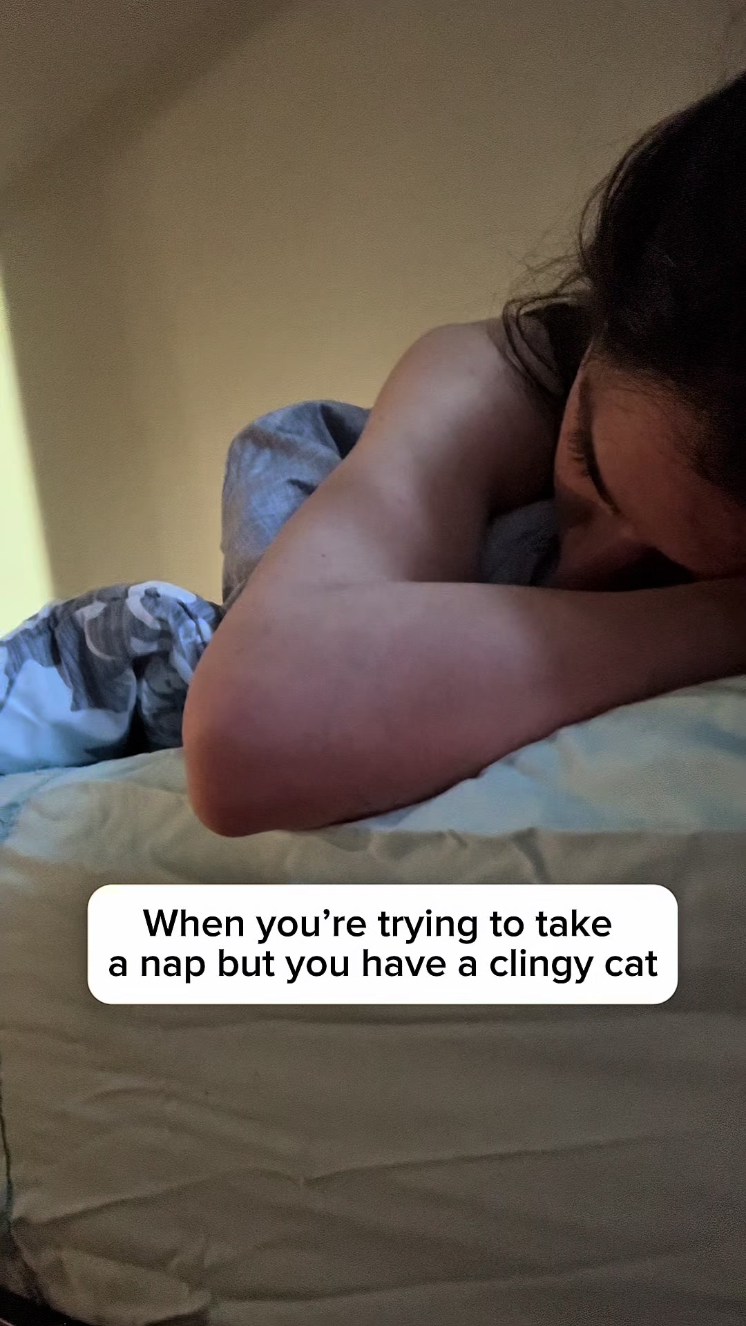 @Three Nawty Cats