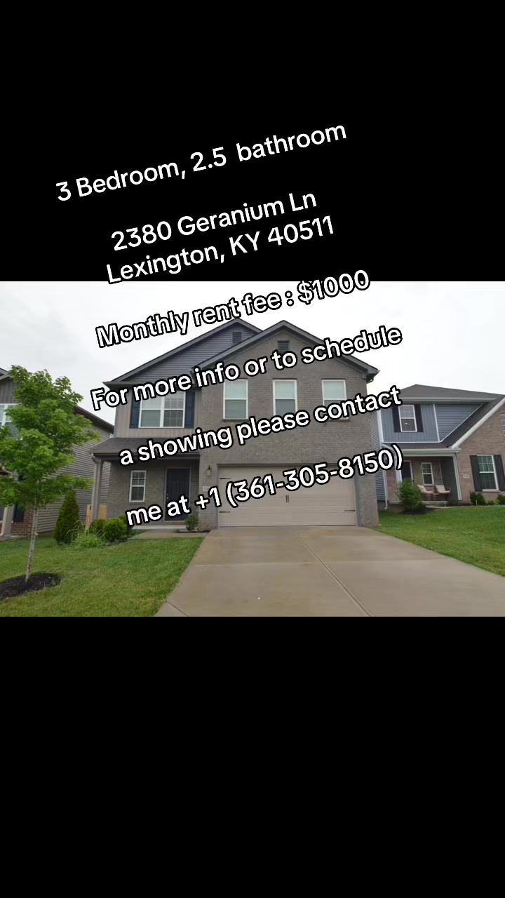 @House Rental Agent