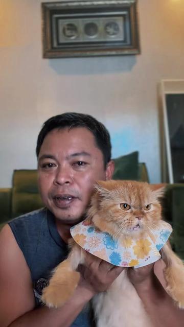 @INDRA GRESSOR