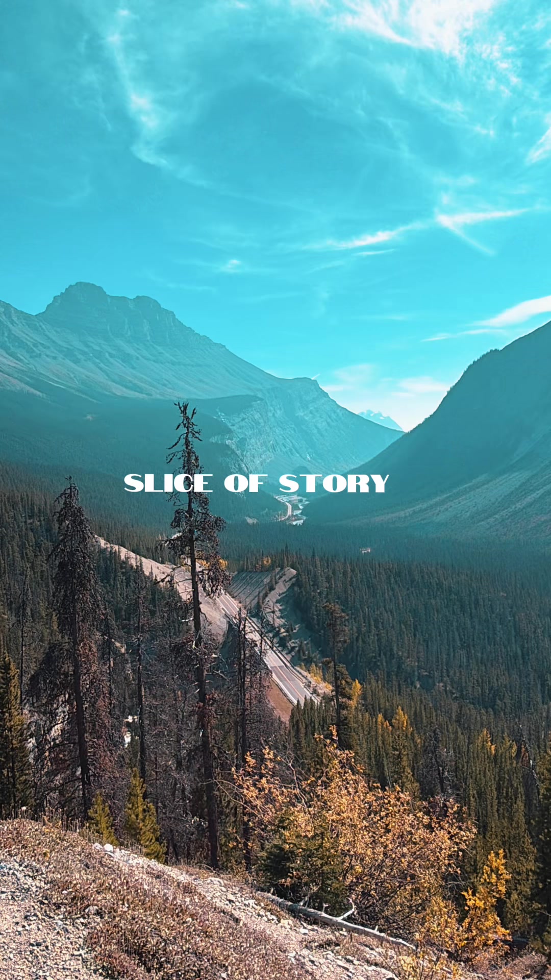 @𝕜ⅈꪑ🍁🇨🇦