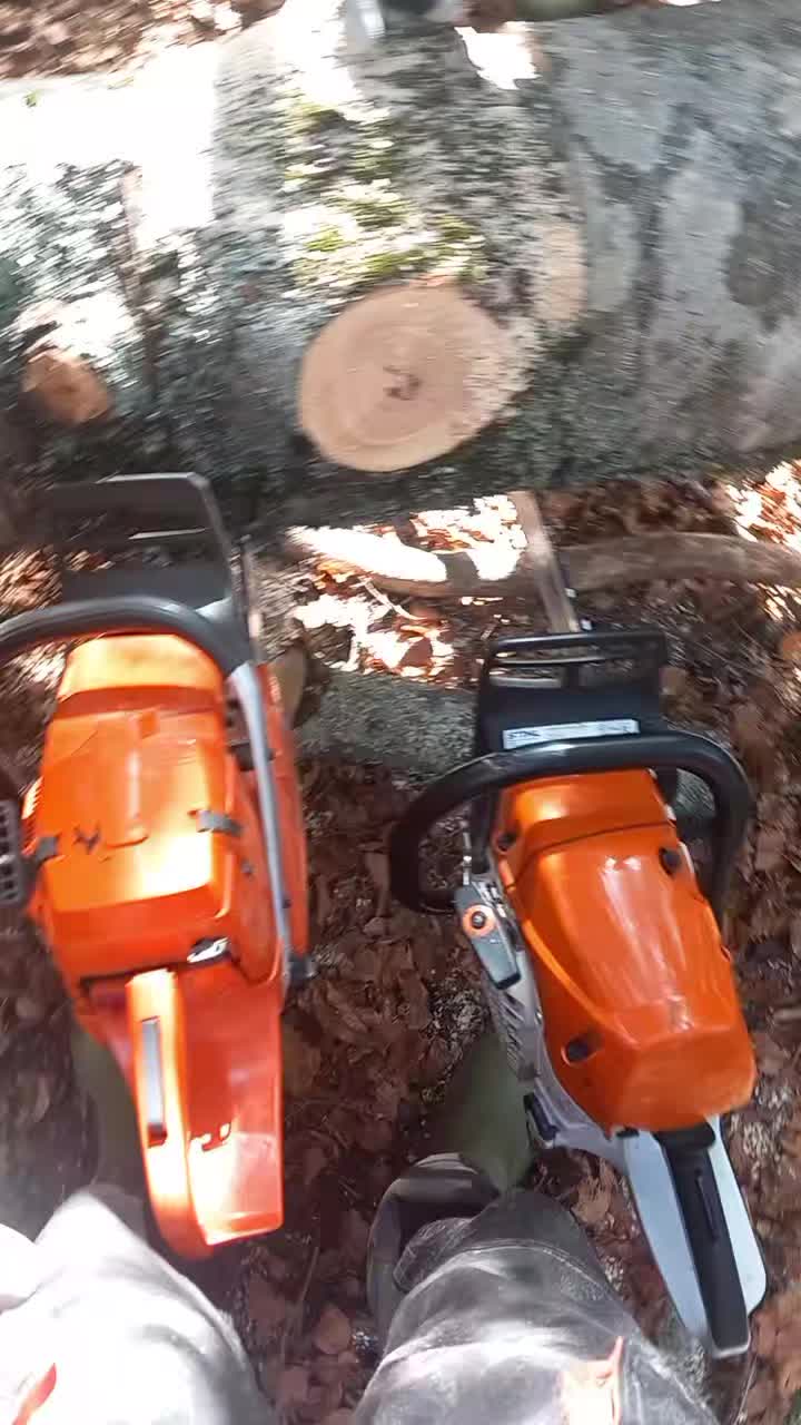 @ŔªMĶƐ🦅