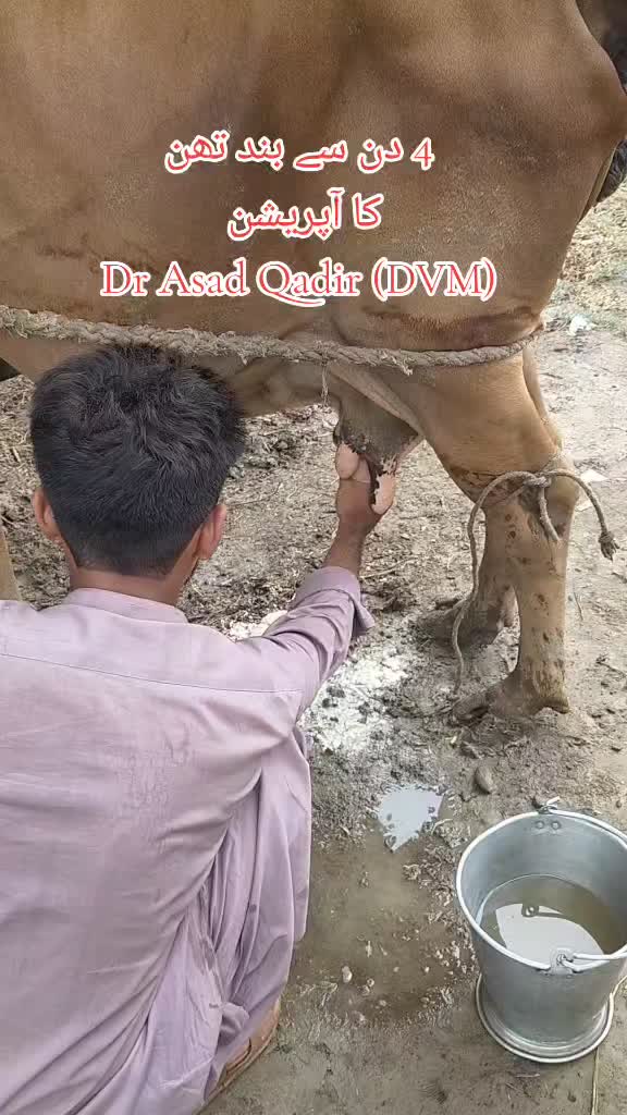 @Dr Asad Qadir