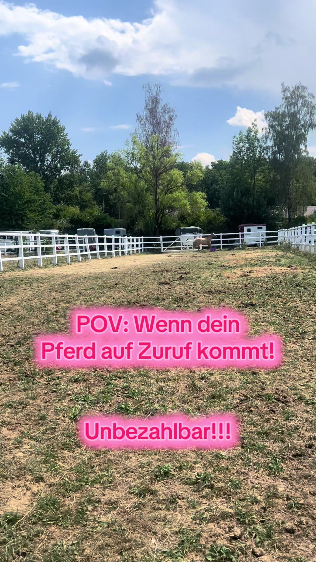 @Sissy und der wilde Pinsel