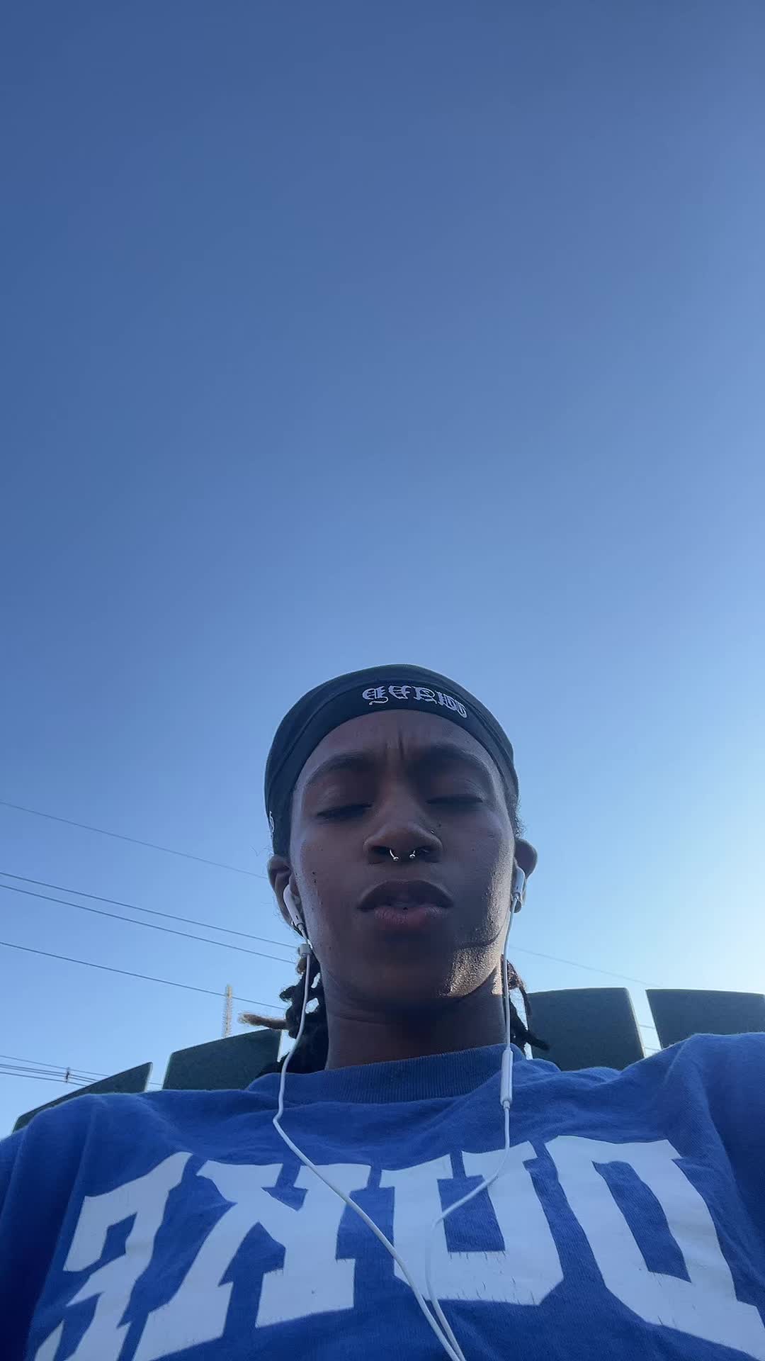 @🦈