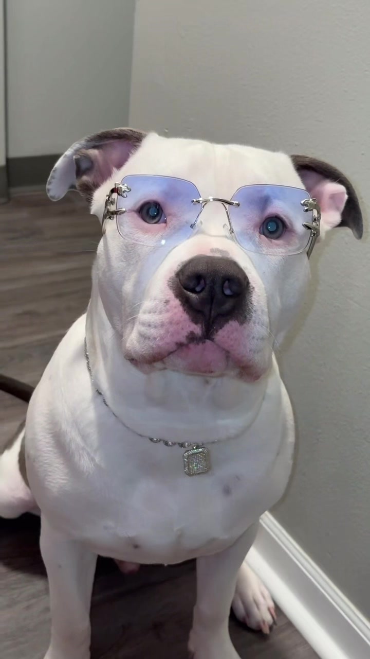 @@losbaby🐶🤍🖤💙