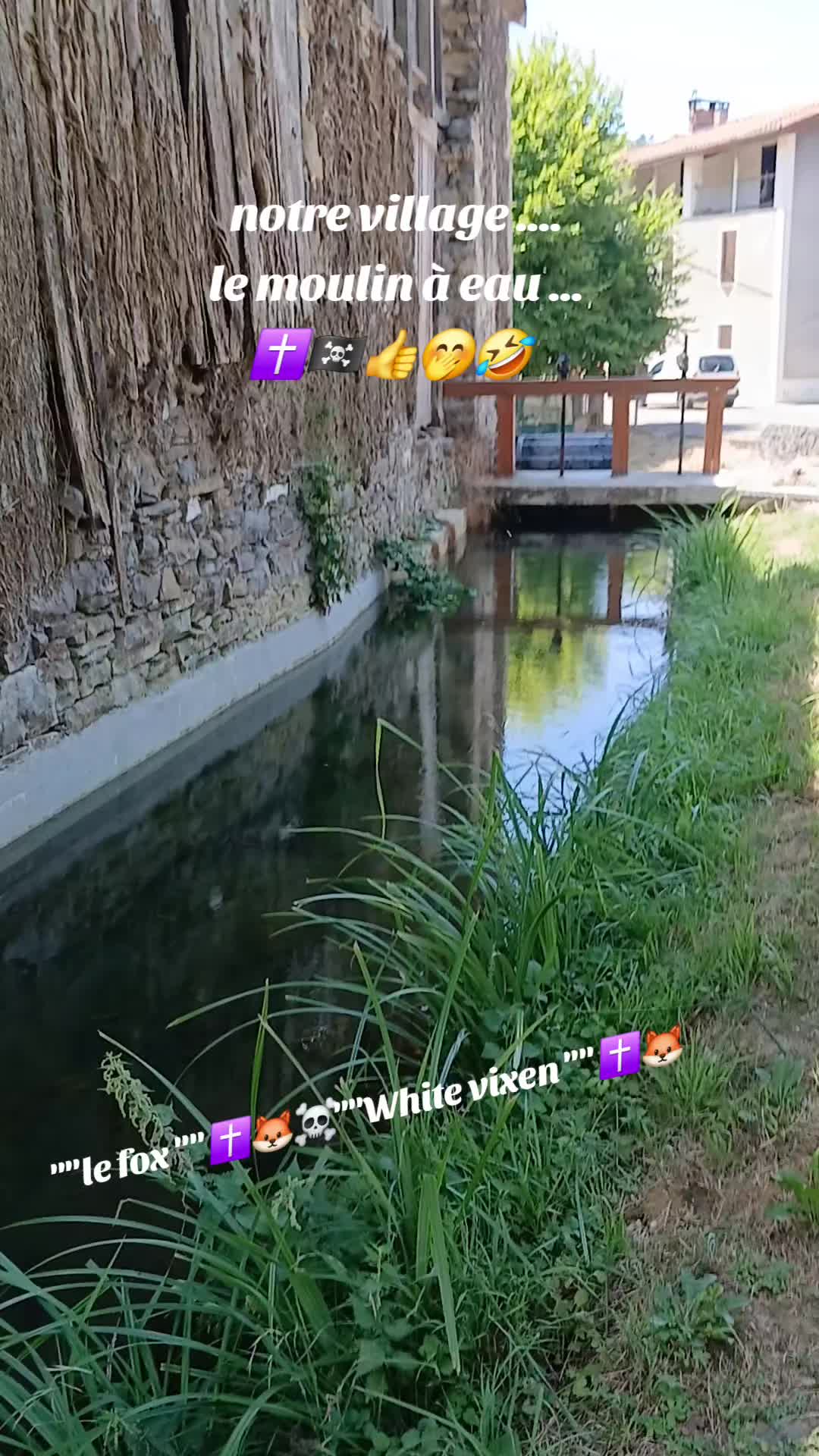 @🇫🇷Le fox✝️🦊☠️white vixen✝️