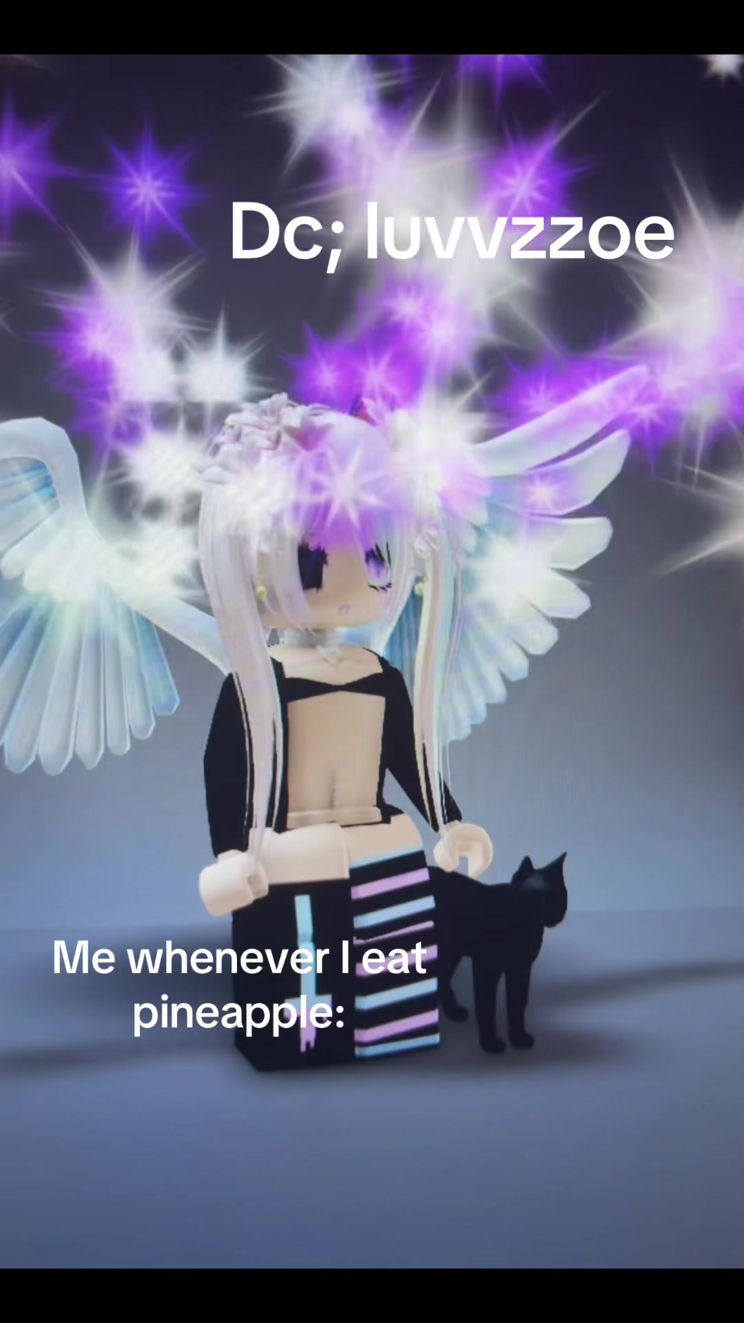 @Kiki 🐾