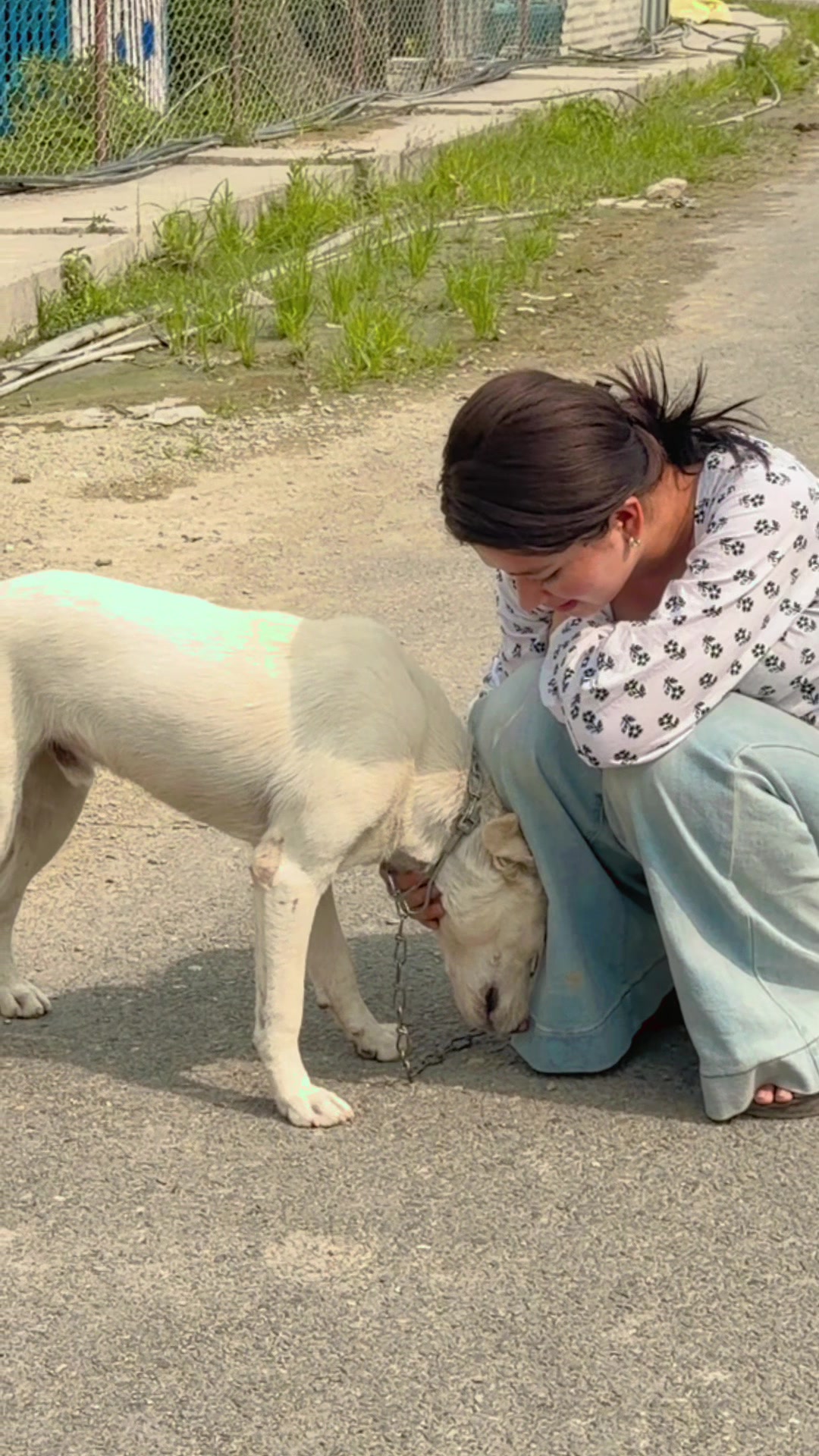 @Dipa shahi 🕊️